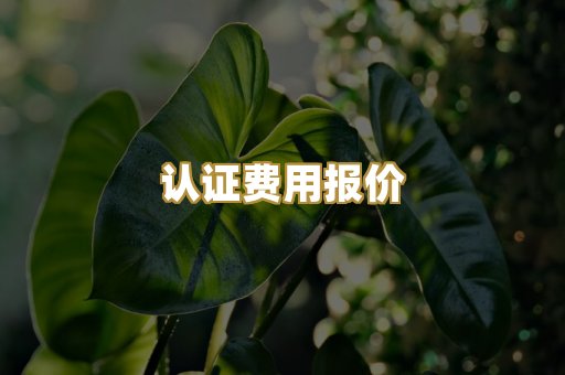 认证费用报价
